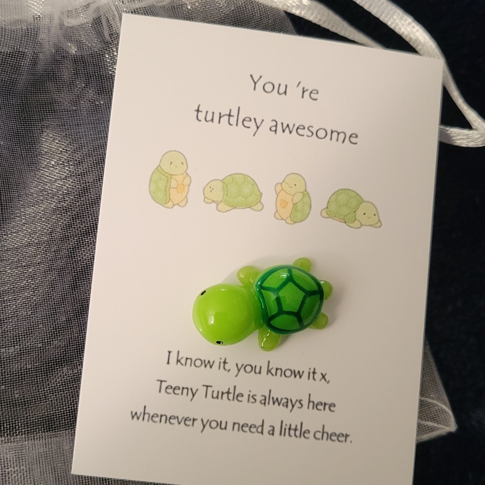 Pocket Hug Turtle - Picture 2 of 5